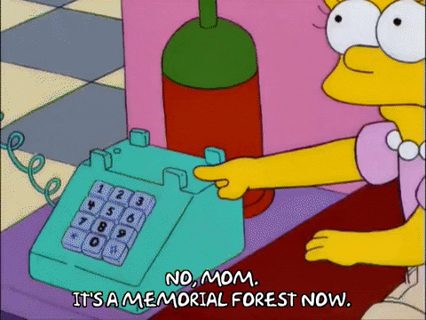 talking lisa simpson GIF