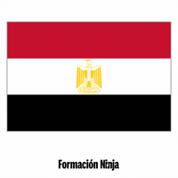 Egypt Flag GIF by Formación Ninja