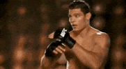 ufc sports sport ufc mma GIF