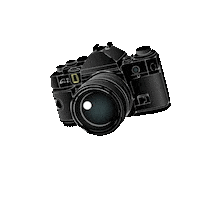 Outfit Sticker by LOAVIES