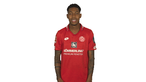 Happy 1 Fsv Mainz 05 Sticker by Bundesliga