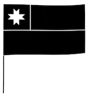 Chile Bandera Chilena Sticker by Pásalo Chancho