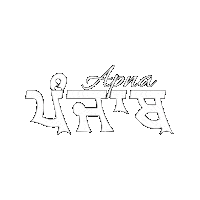 desiwebsite punjab sikh sikhi panjab Sticker