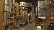 Vinyl Warehouse GIF by Fat Possum Records