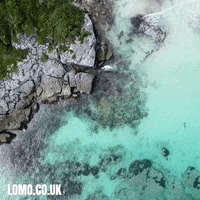 Swim Swimming GIF by Lomo Watersport