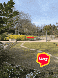 Rainbow Gay GIF by Linz News