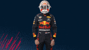 Ver Red Bull GIF by Red Bull Racing Honda