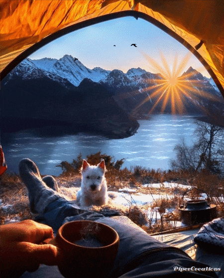Pipercreations Camping Nature Coffee Mountains Dog Serenity Sunrays Birds GIF