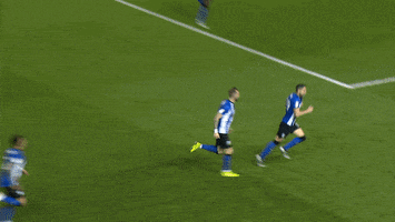 swfc celebration goal swfc matias GIF