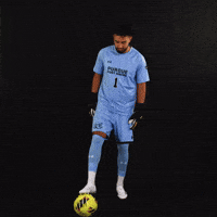 Soccer Point GIF by Purdue Fort Wayne Athletics