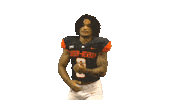 Game Time Sticker by Carson-Newman Athletics
