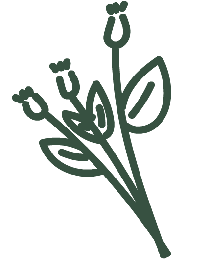 Beauty Love Sticker by thefirstrefresh