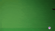 Knocking Stop Motion GIF by School of Computing, Engineering and Digital Technologies