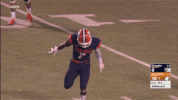 cnfb18 cnfootball18 GIF by Carson-Newman Athletics