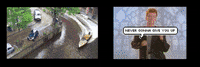 GIF by Canek