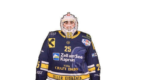 Zellamsee Ekz Sticker by EK Zeller Eisbären