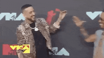 Red Carpet Vmas 2019 GIF by 2020 MTV Video Music Awards