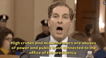 news impeachment impeachment inquiry noah feldman GIF