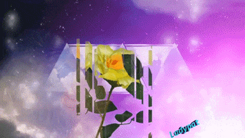 Happy Summer GIF by ladypat