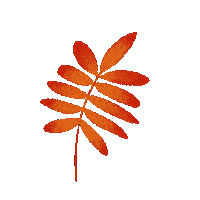 Fall Color Sticker