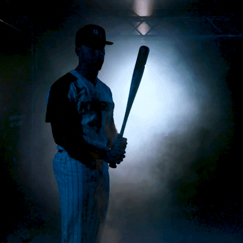 Baseball GIF by UCF Knights
