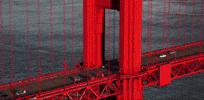 san francisco california GIF