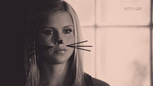 claire holt kitty GIF