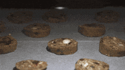 cutzcookies cookies cutz cutzcookies cutzrocks GIF