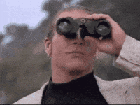 Shawn Michaels Sun GIF