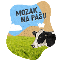 Vacation Rest Sticker