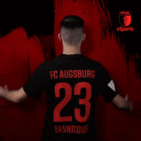 Bundesliga Esports GIF by FC Augsburg 1907