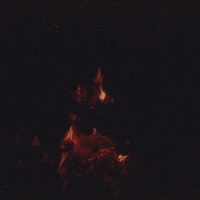 animation art GIF by Liaizon Wakest