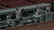 New York Wow GIF by Jomboy Media