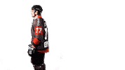 boxersdebordeaux sport celebration goal hockey Sticker