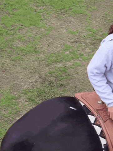 dezmineann black really country cowboy GIF