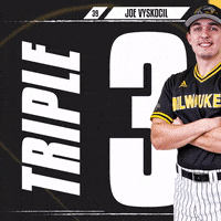 Baseball GIF by Milwaukee Panthers