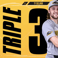 Mke GIF by Milwaukee Panthers