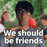 Should Friend Request GIF