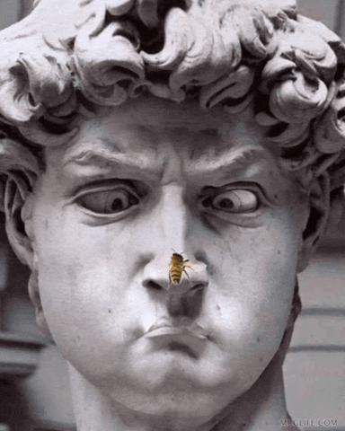 vladya66  GIF