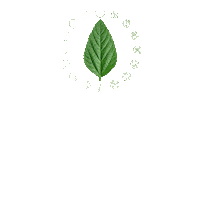 Soja Gera Sticker by BASF Soluções para a Agricultura