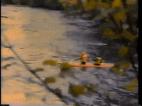 kayak kayaking GIF