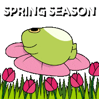 Bitcoin Spring Sticker by Ordinary Frends
