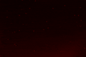 asherdavies02 giphygifmaker GIF