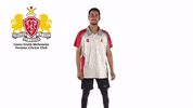 CaseySouthMelbourneCC swans csmcc caseysouthswans GIF