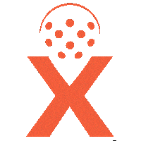 Pickleball Ppx Sticker by Pickleplex Social Club