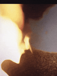 phhhoto GIF by Flosstradamus