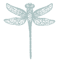 Grow Dragon Fly Sticker by Hope Yoga Studio