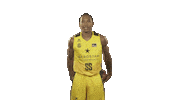 Liga Endesa Basketball Sticker by ACB