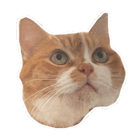 Cats Fuku Sticker