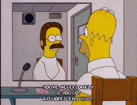 homer simpson GIF
